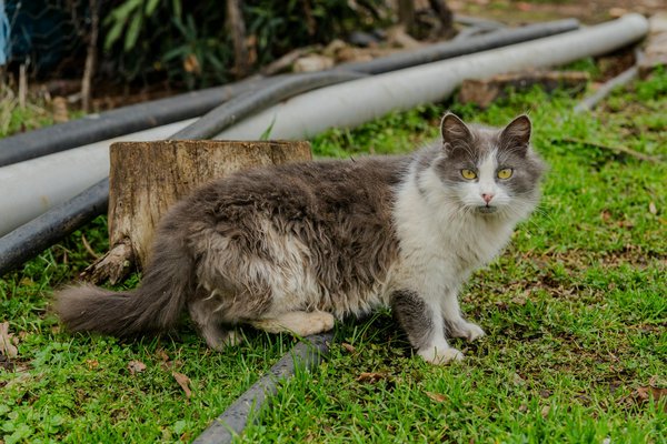 Gamme de produits naturels contre les poux : découvrez l'efficacité